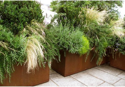 corten planters