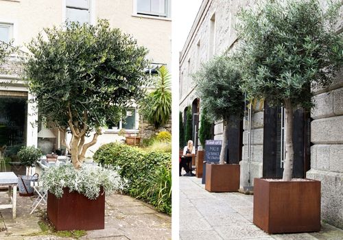 corten planters