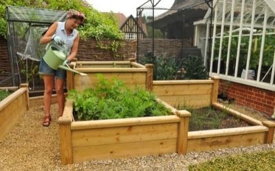 raised garden beds