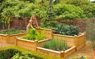 raised garden beds