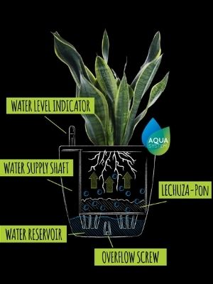 self watering planter