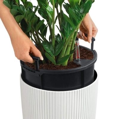 self watering planter