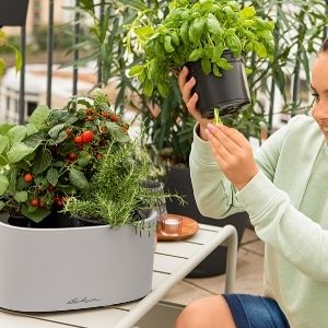 self watering planter