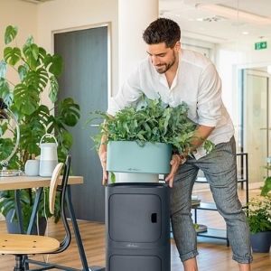 self watering planter