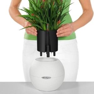 self watering pot