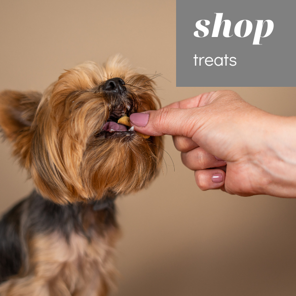 herbal supplements for dogs