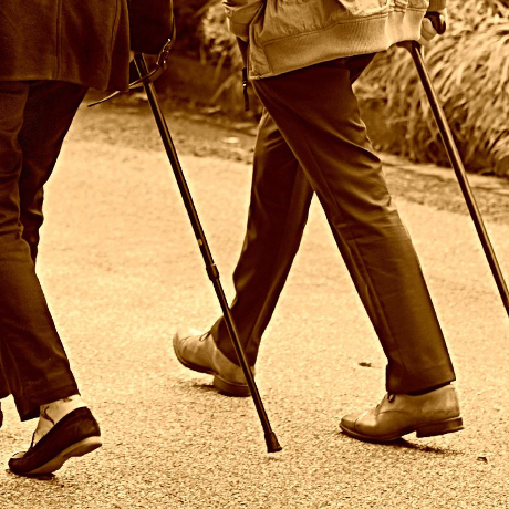 Walking sticks to purchase on your mobile