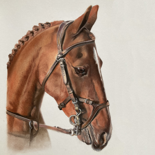 Chestnut Horse Painting