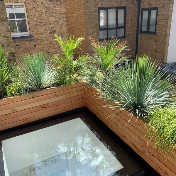large wooden planters