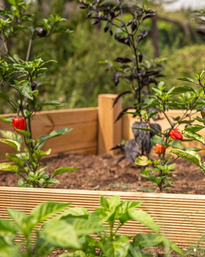 Wooden Raised beds