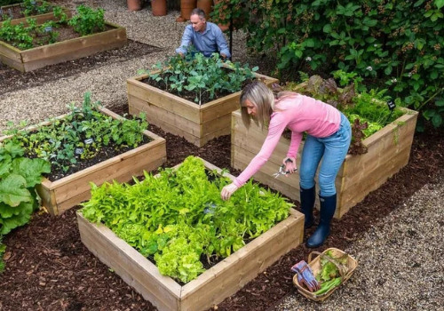 wooden raised beds