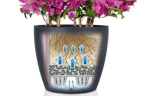 self watering container