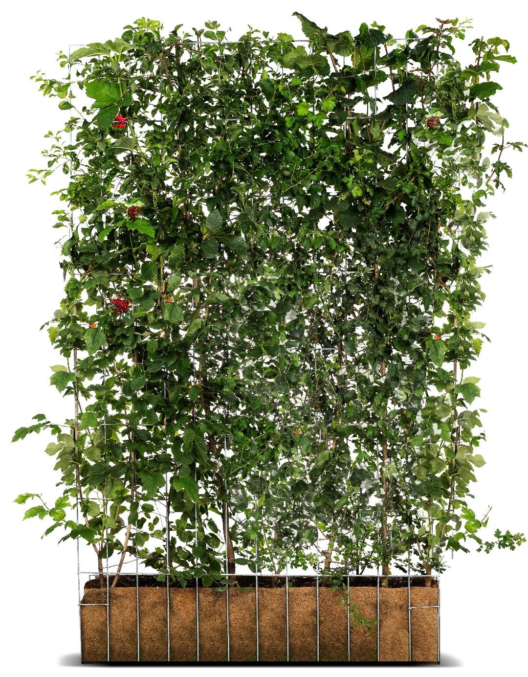 natural privacy screening