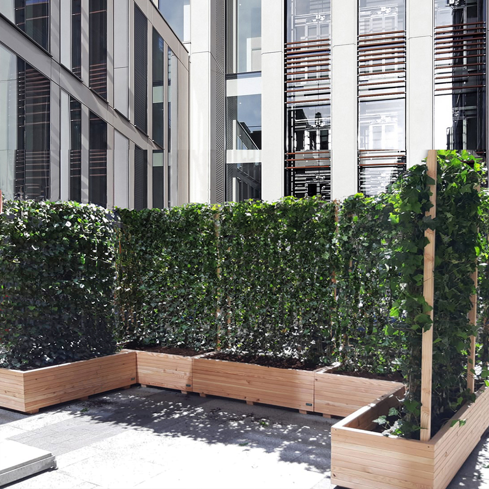 natural privacy screening