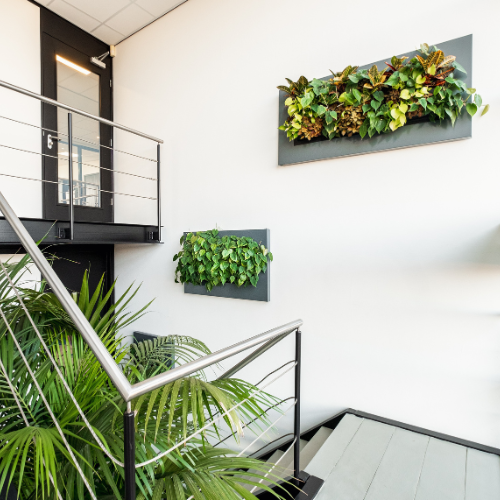 biophilic design