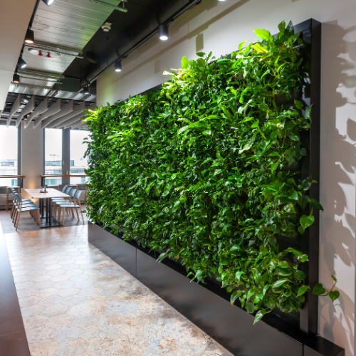 living walls