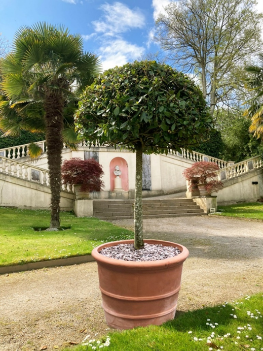 large tree containers